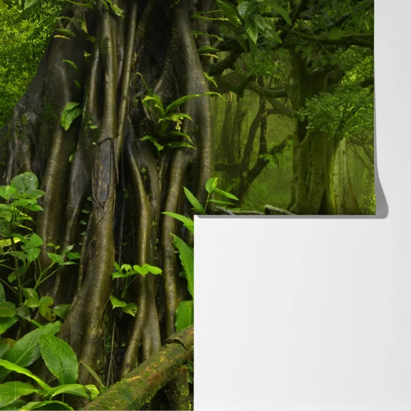Fototapeta mglista kładka w tropikalnej dżungli – Wallissimo® Fototapeta mglista kładka w tropikalnej dżungli – Wallissimo®