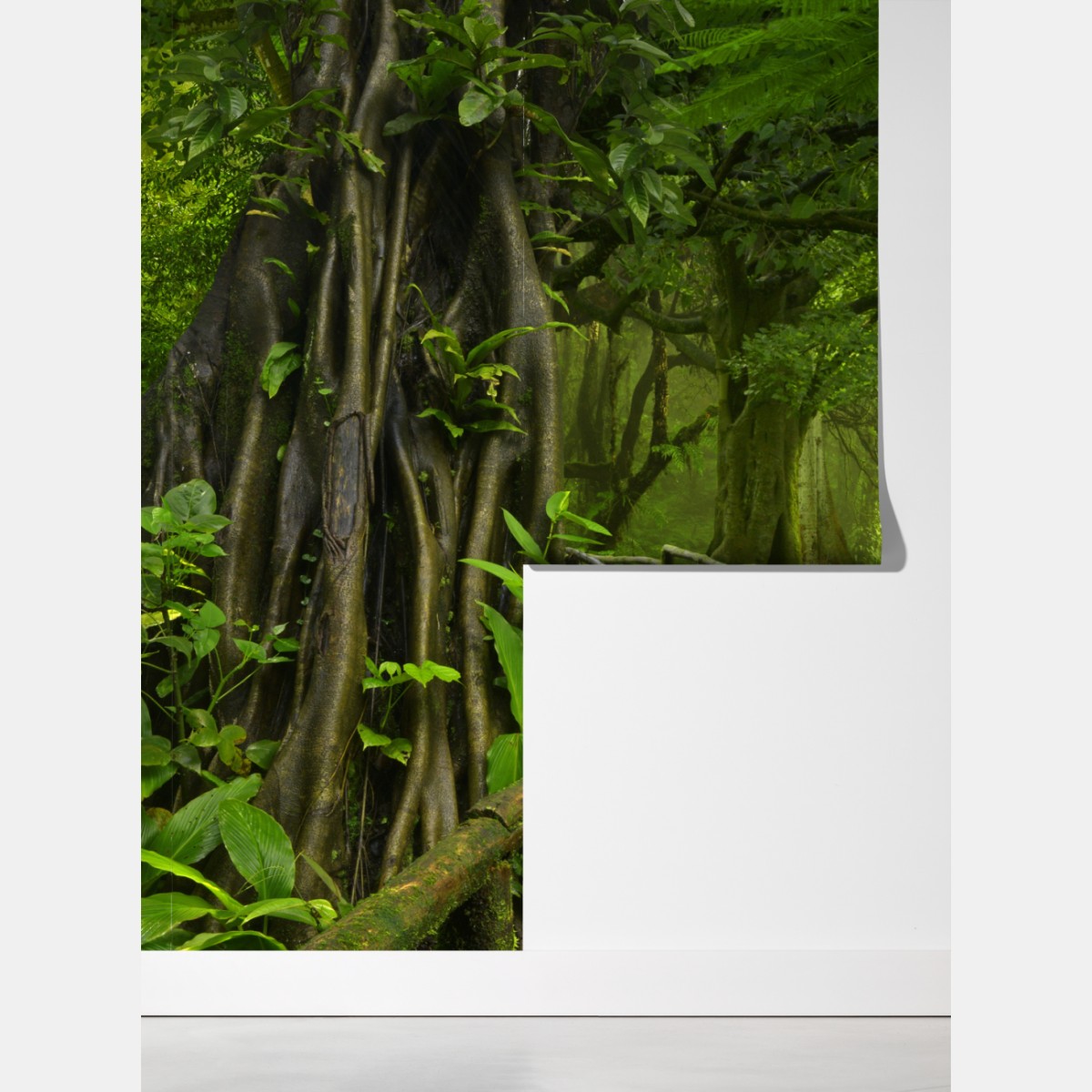 Fototapeta mglista kładka w tropikalnej dżungli – Wallissimo® Fototapeta mglista kładka w tropikalnej dżungli – Wallissimo®