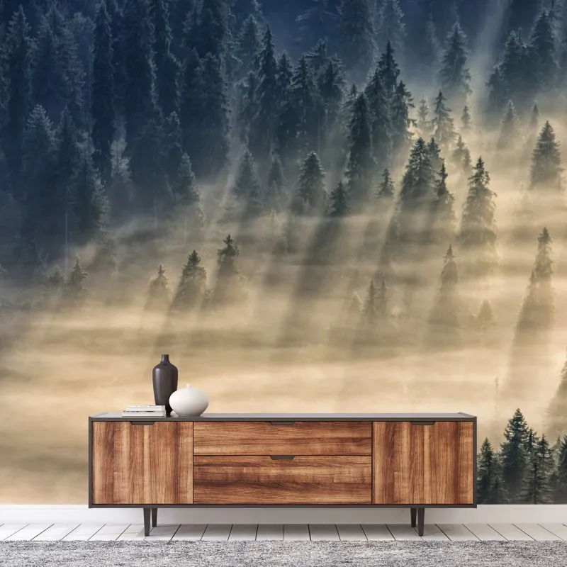 Fototapeta mglisty las świerkowy w promieniach słońca