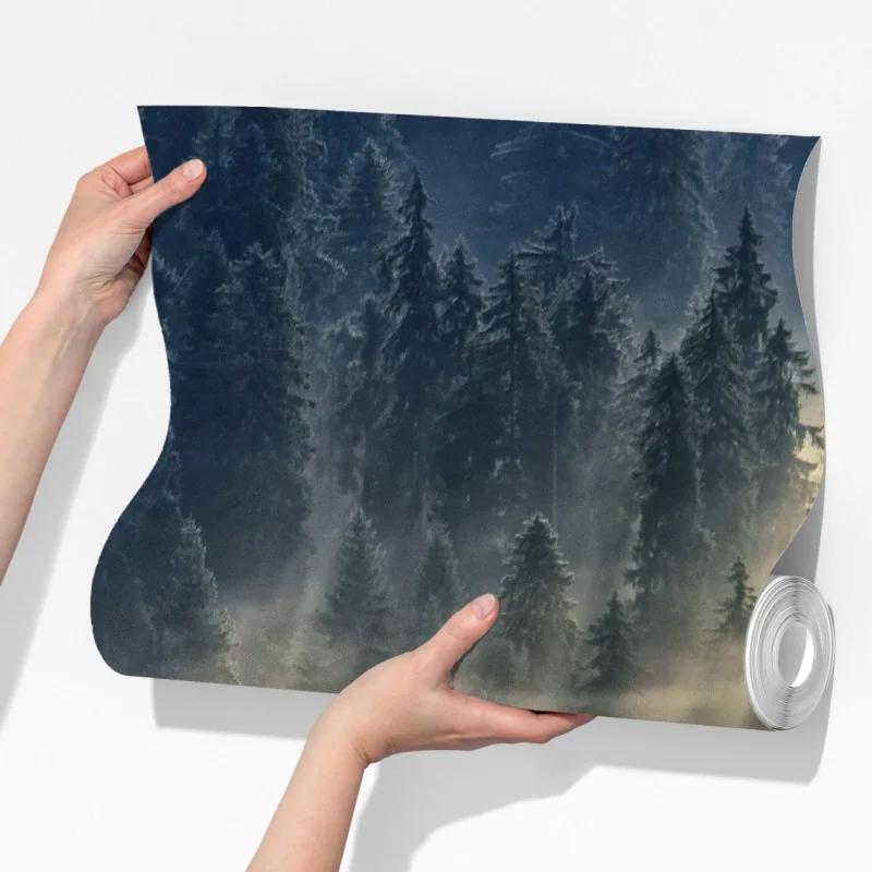 Fototapeta mglisty las świerkowy w promieniach słońca – Wallissimo® Fototapeta mglisty las świerkowy w promieniach słońca – Wallissimo®