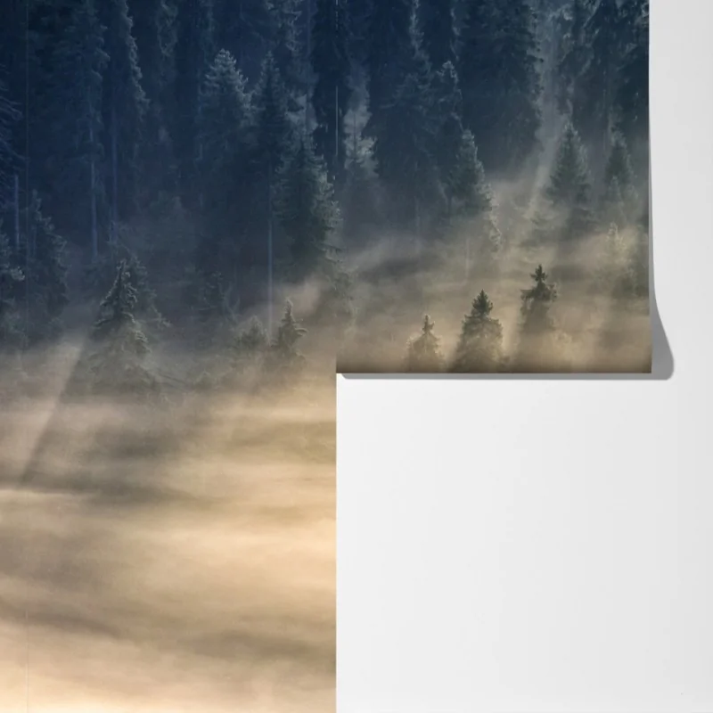 Fototapeta mglisty las świerkowy w promieniach słońca – Wallissimo® Fototapeta mglisty las świerkowy w promieniach słońca – Wallissimo®