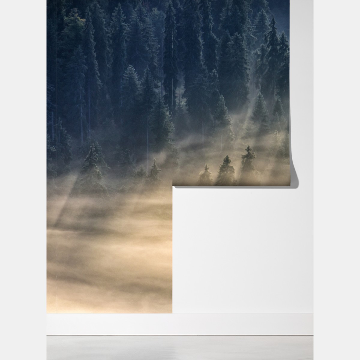 Fototapeta mglisty las świerkowy w promieniach słońca – Wallissimo® Fototapeta mglisty las świerkowy w promieniach słońca – Wallissimo®