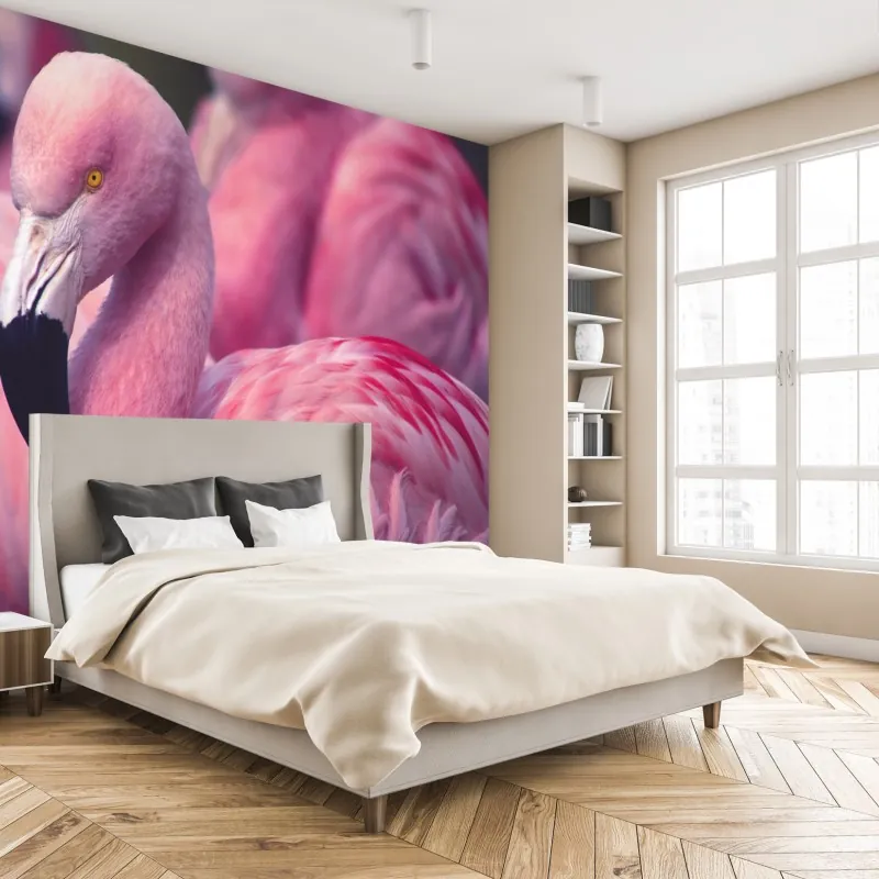 Fototapeta różowy portret flaminga