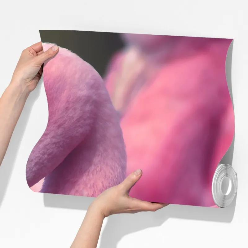 Fototapeta różowy portret flaminga – Wallissimo® Fototapeta różowy portret flaminga – Wallissimo®
