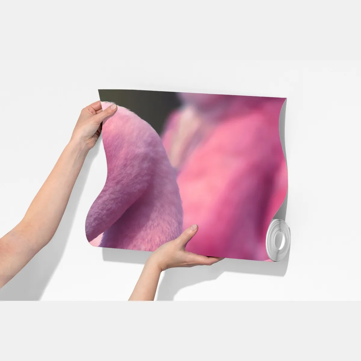 Fototapeta różowy portret flaminga – Wallissimo® Fototapeta różowy portret flaminga – Wallissimo®