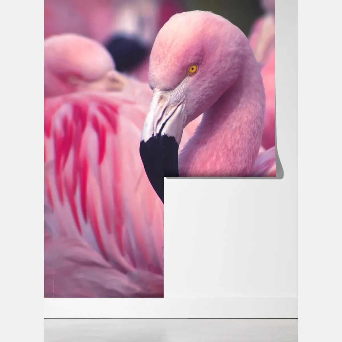 Fototapeta różowy portret flaminga – Wallissimo® Fototapeta różowy portret flaminga – Wallissimo®