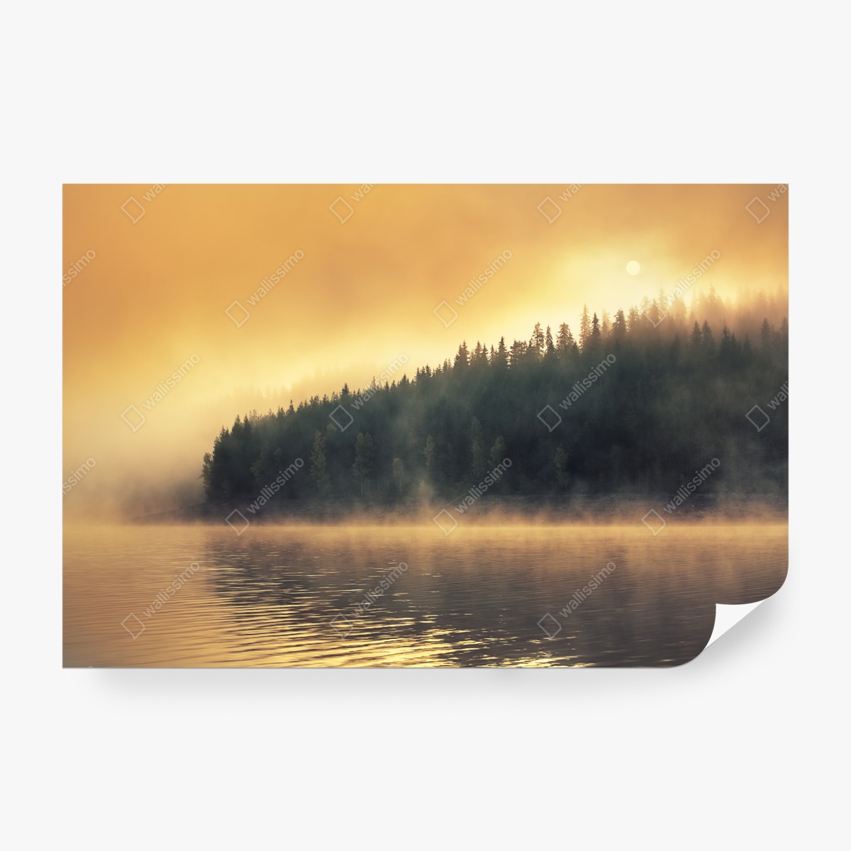 Fototapeta mglisty złoty wschód nad leśnym jeziorem – Wallissimo® Fototapeta mglisty złoty wschód nad leśnym jeziorem – Wallissimo®