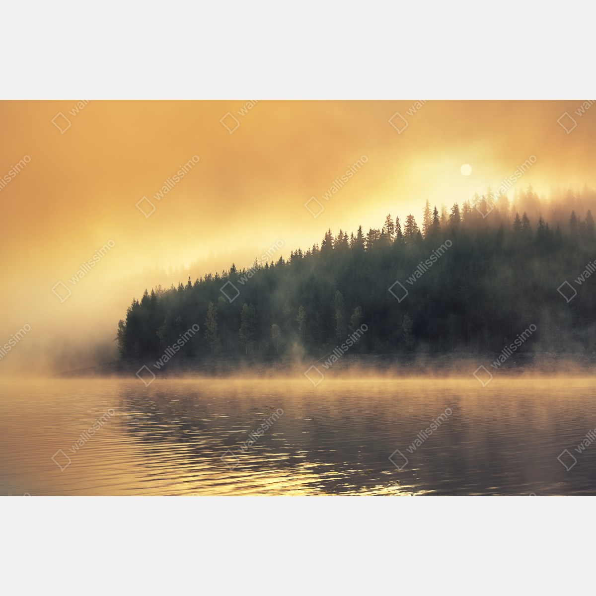 Fototapeta mglisty złoty wschód nad leśnym jeziorem – Wallissimo® Fototapeta mglisty złoty wschód nad leśnym jeziorem – Wallissimo®
