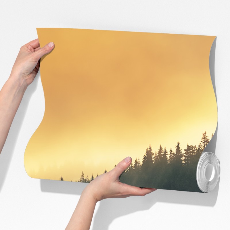 Fototapeta mglisty złoty wschód nad leśnym jeziorem – Wallissimo® Fototapeta mglisty złoty wschód nad leśnym jeziorem – Wallissimo®