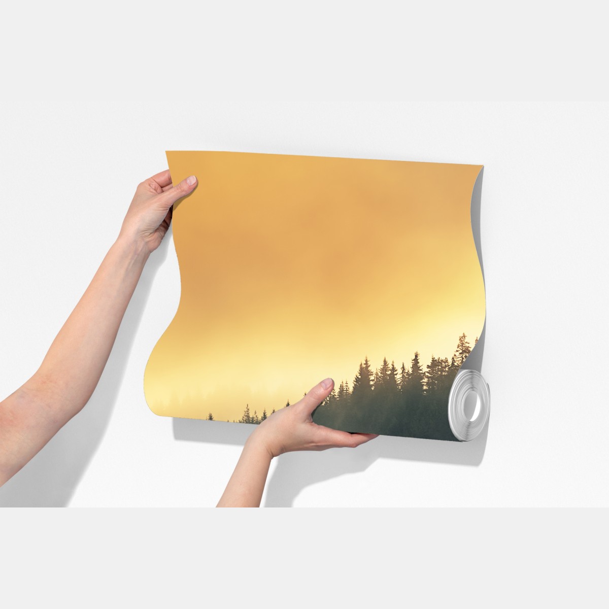 Fototapeta mglisty złoty wschód nad leśnym jeziorem – Wallissimo® Fototapeta mglisty złoty wschód nad leśnym jeziorem – Wallissimo®