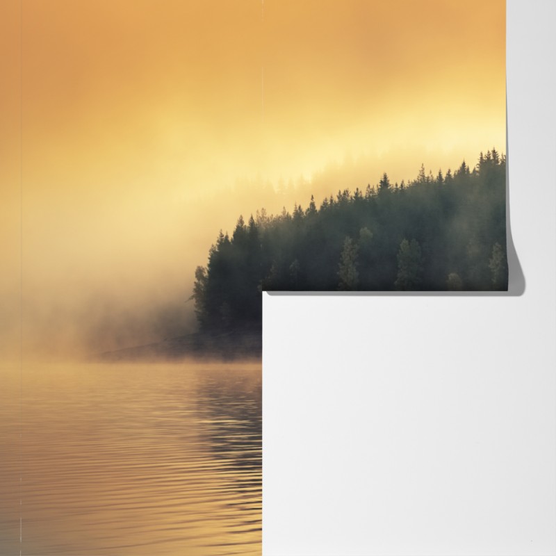 Fototapeta mglisty złoty wschód nad leśnym jeziorem – Wallissimo® Fototapeta mglisty złoty wschód nad leśnym jeziorem – Wallissimo®
