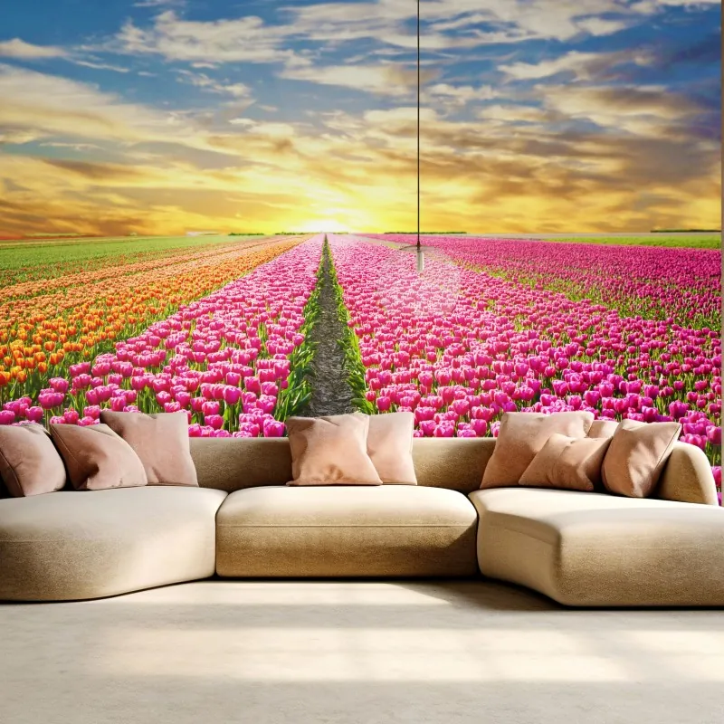 Fototapeta wschód słońca nad polami tulipanów w Holandii