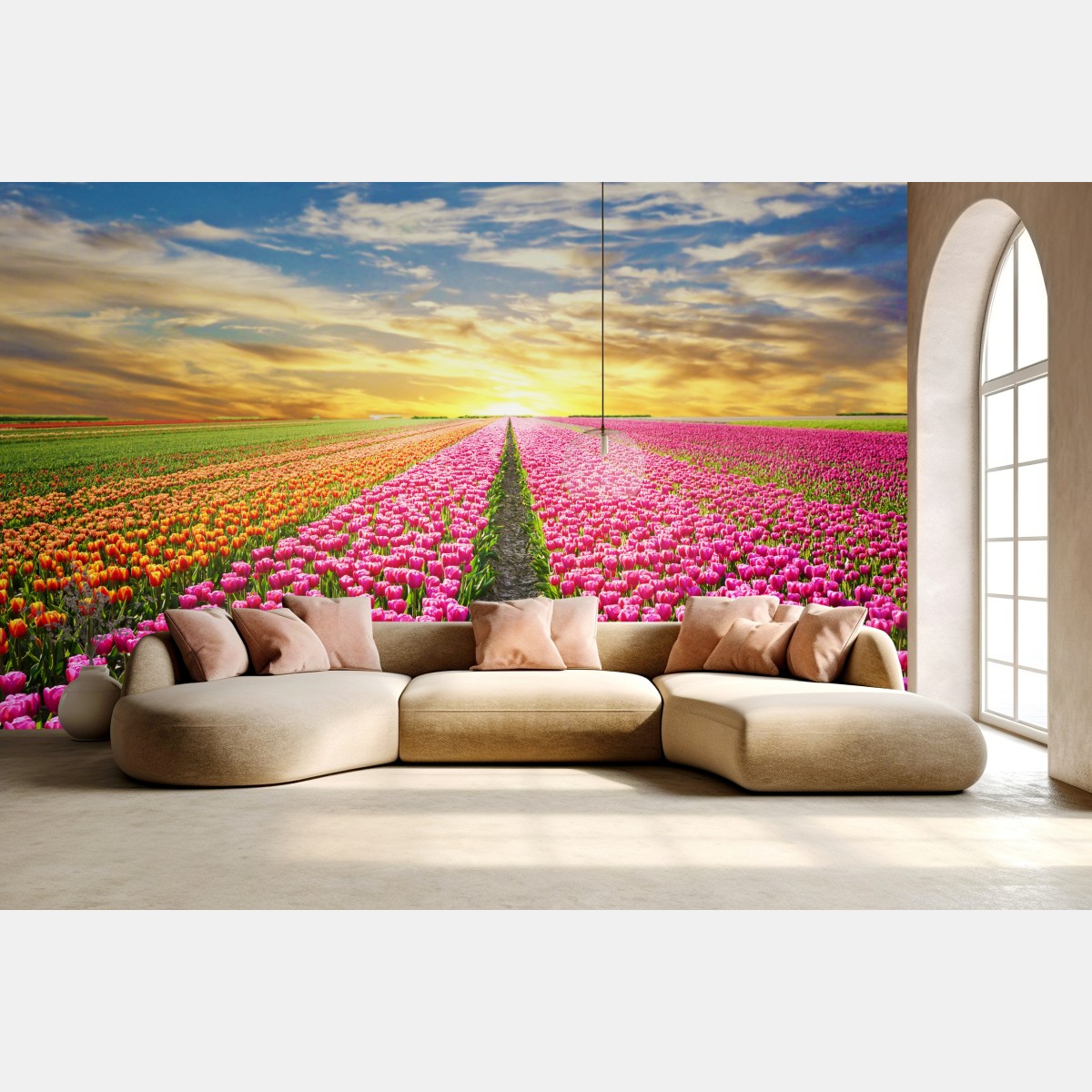 Wall mural sunrise over tulip fields in Netherlands
