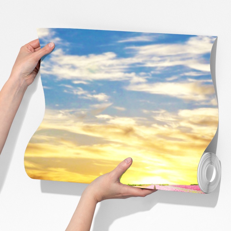 Fototapeta wschód słońca nad polami tulipanów w Holandii – Wallissimo® Fototapeta wschód słońca nad polami tulipanów w Holandii – Wallissimo®