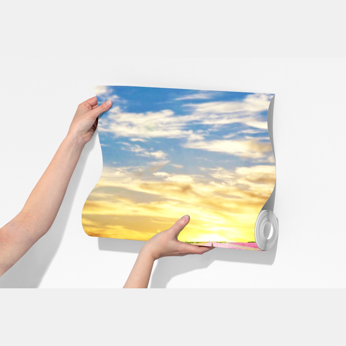 Fototapeta wschód słońca nad polami tulipanów w Holandii – Wallissimo® Fototapeta wschód słońca nad polami tulipanów w Holandii – Wallissimo®