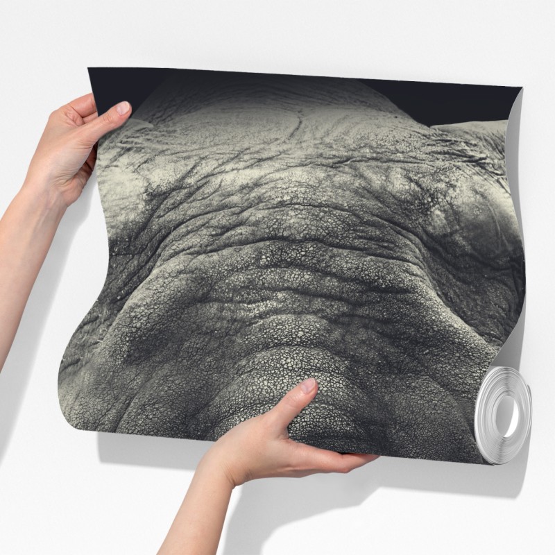 Fototapeta dostojny portret słonia w monochromie – Wallissimo® Fototapeta dostojny portret słonia w monochromie – Wallissimo®