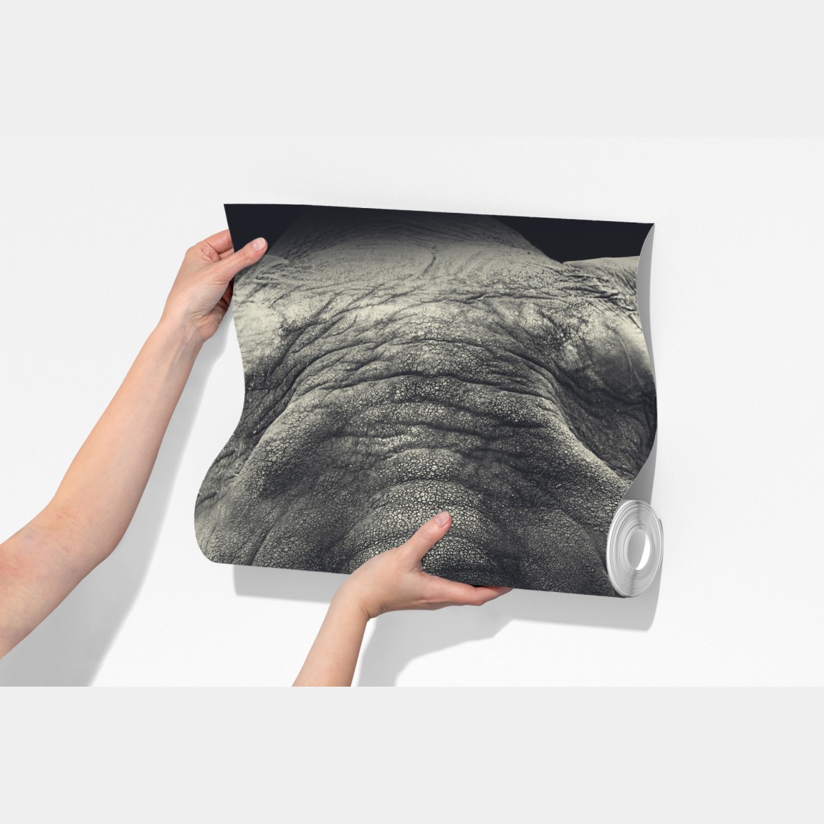 Fototapeta dostojny portret słonia w monochromie – Wallissimo® Fototapeta dostojny portret słonia w monochromie – Wallissimo®