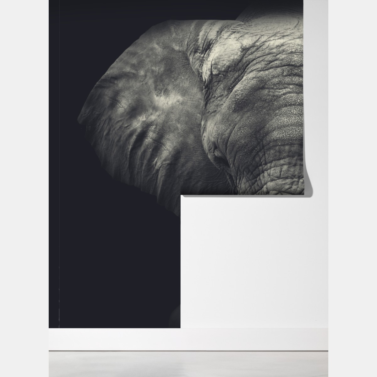 Fototapeta dostojny portret słonia w monochromie – Wallissimo® Fototapeta dostojny portret słonia w monochromie – Wallissimo®