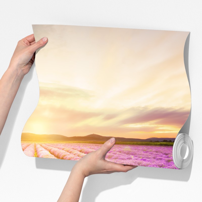 Fototapeta wschód słońca nad polami lawendy – Wallissimo® Fototapeta wschód słońca nad polami lawendy – Wallissimo®