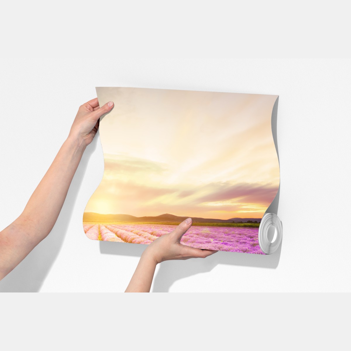 Fototapeta wschód słońca nad polami lawendy – Wallissimo® Fototapeta wschód słońca nad polami lawendy – Wallissimo®