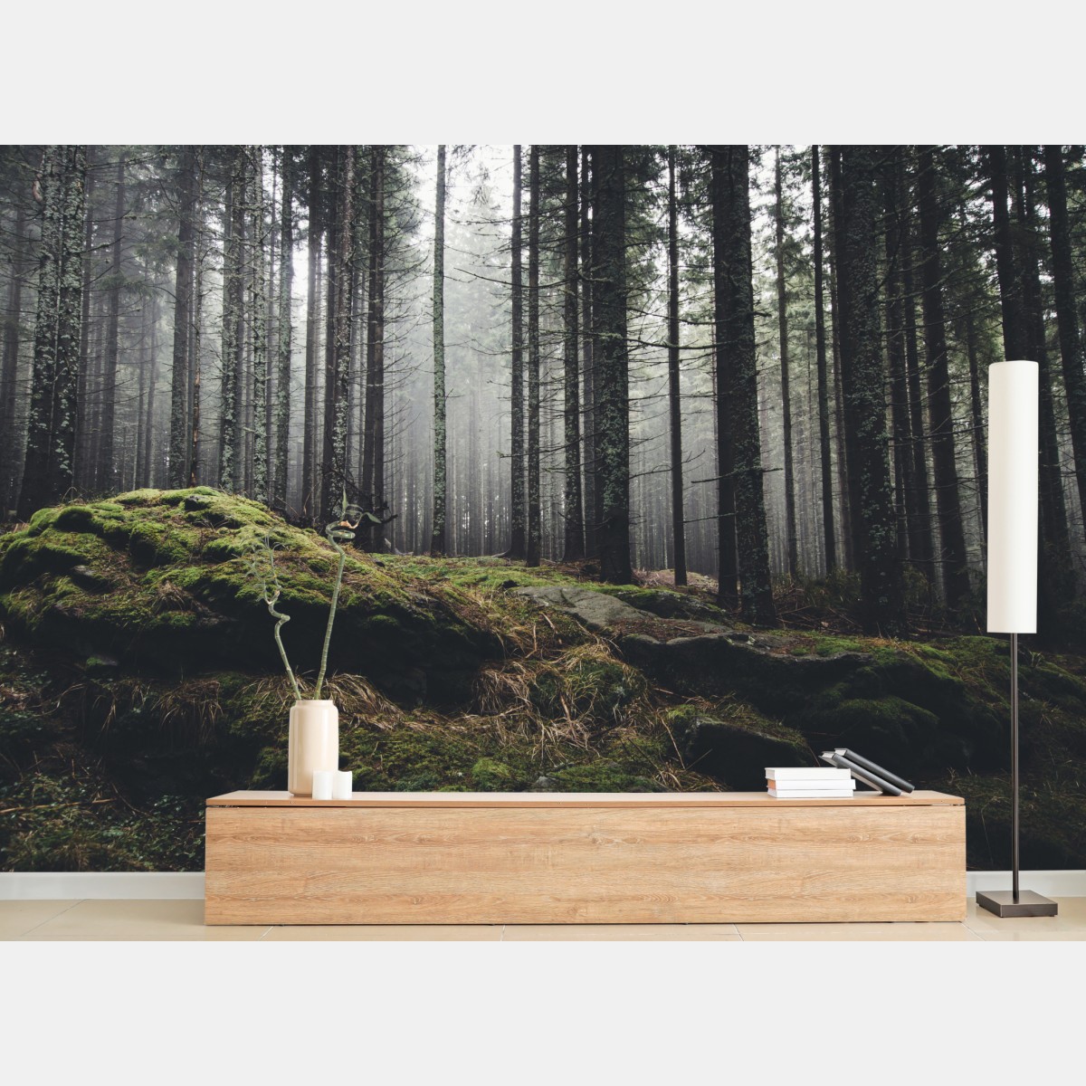 Wall mural misty mossy forest landscape