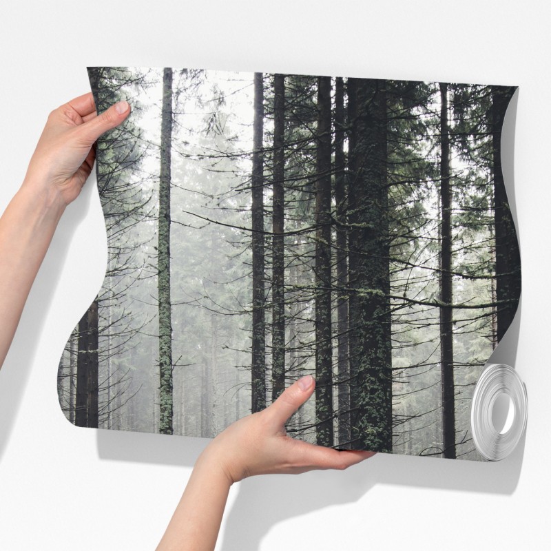 Fototapeta mglisty las porośnięty mchem – Wallissimo® Fototapeta mglisty las porośnięty mchem – Wallissimo®