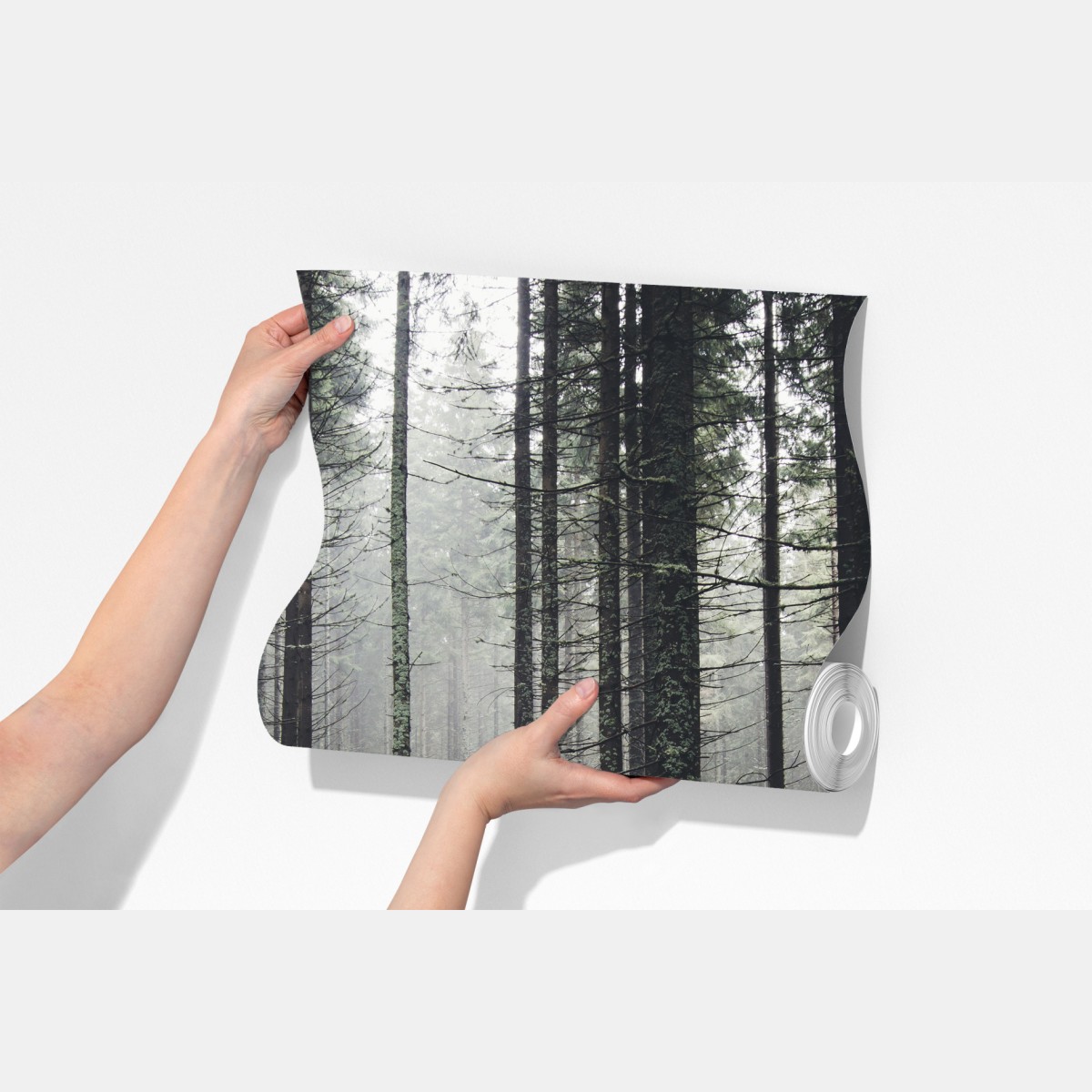 Fototapeta mglisty las porośnięty mchem – Wallissimo® Fototapeta mglisty las porośnięty mchem – Wallissimo®