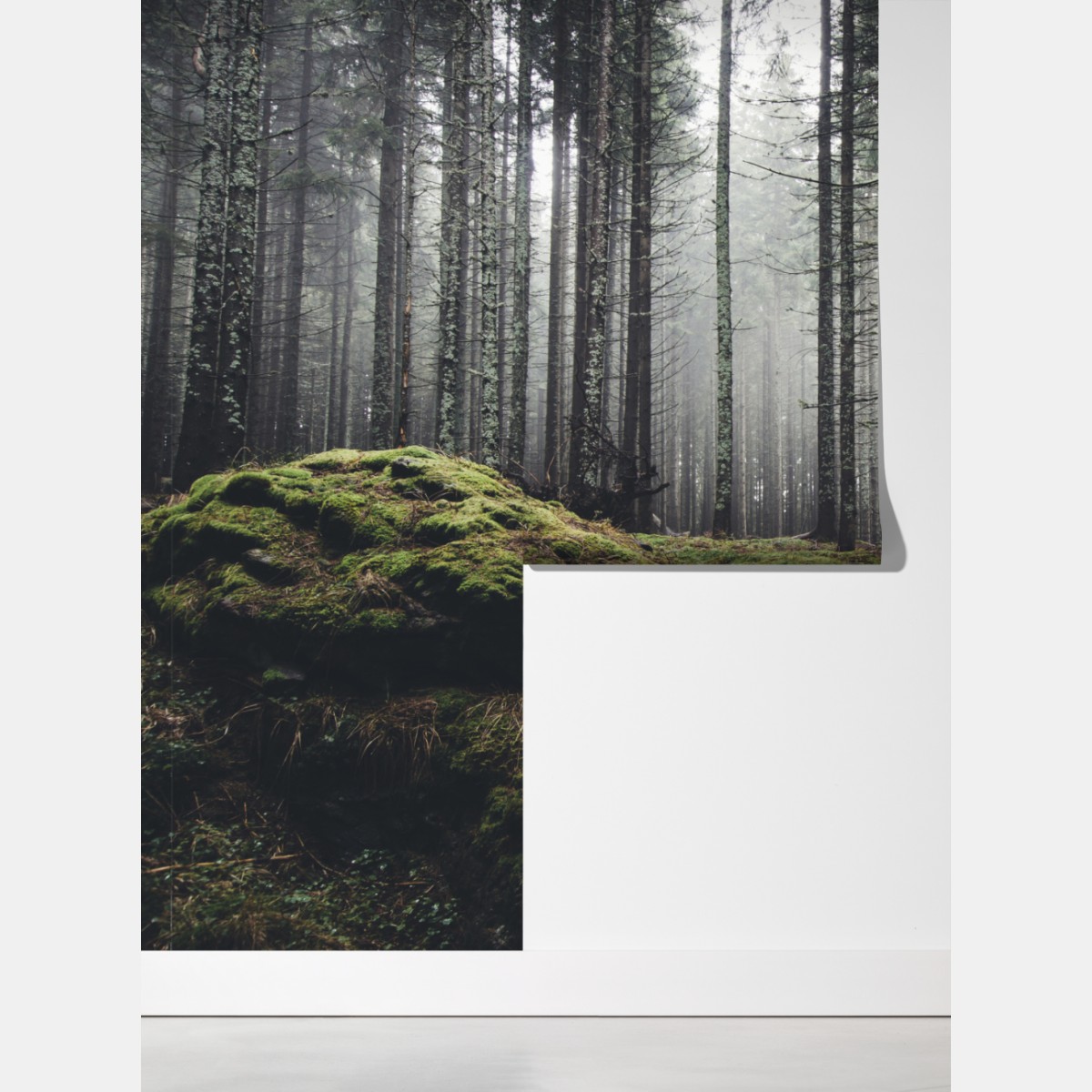 Fototapeta mglisty las porośnięty mchem – Wallissimo® Fototapeta mglisty las porośnięty mchem – Wallissimo®