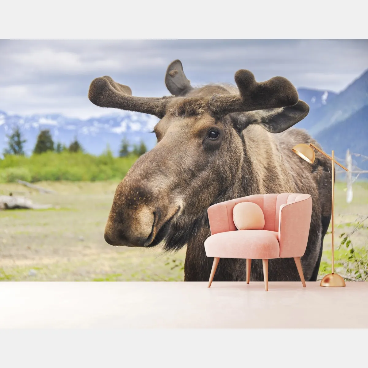 Fototapeta portret łosia na tle gór – Wallissimo® Fototapeta portret łosia na tle gór – Wallissimo®