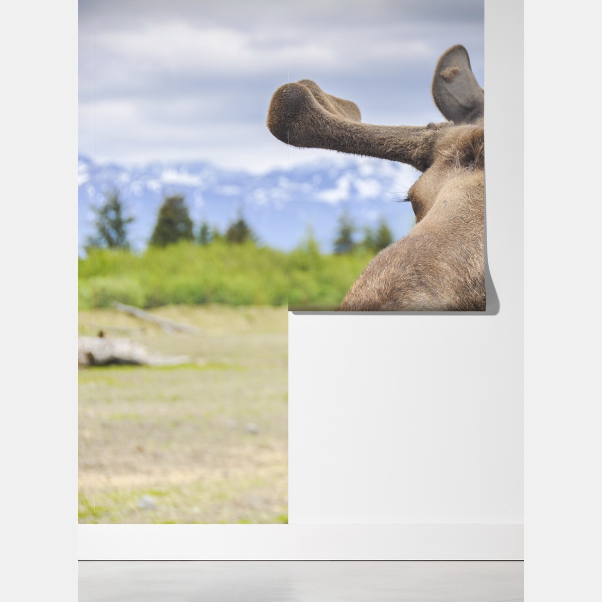 Fototapeta portret łosia na tle gór – Wallissimo® Fototapeta portret łosia na tle gór – Wallissimo®