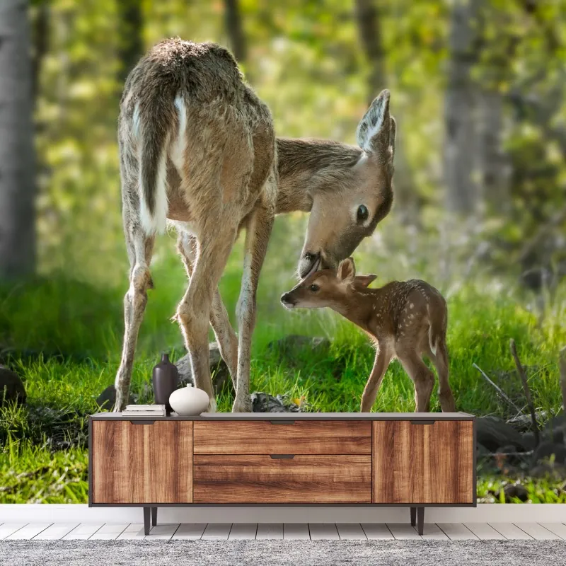 Fototapeta jeleń z cielakiem w zielonym lesie – Wallissimo® Fototapeta jeleń z cielakiem w zielonym lesie – Wallissimo®