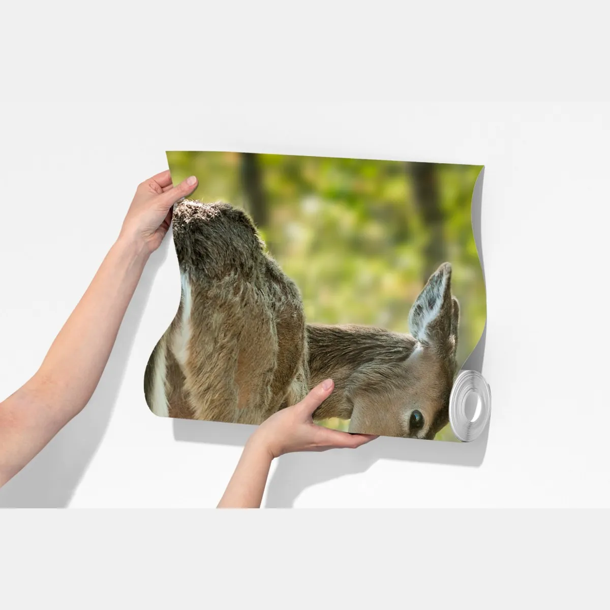 Fototapeta jeleń z cielakiem w zielonym lesie – Wallissimo® Fototapeta jeleń z cielakiem w zielonym lesie – Wallissimo®