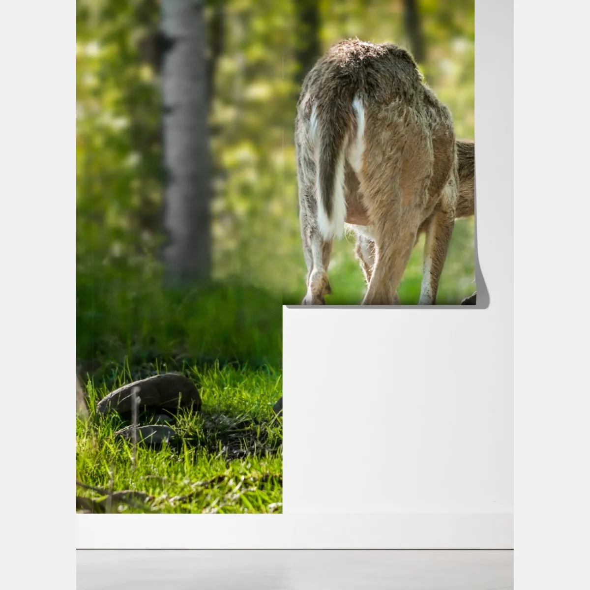 Fototapeta jeleń z cielakiem w zielonym lesie – Wallissimo® Fototapeta jeleń z cielakiem w zielonym lesie – Wallissimo®