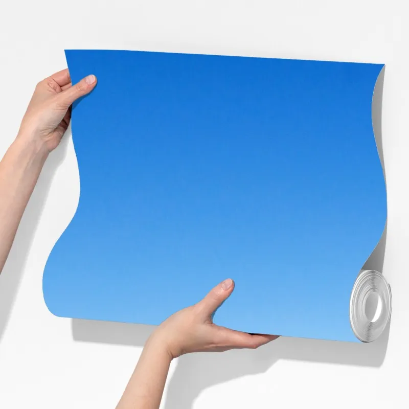 Fototapeta spokojny krajobraz sawanny pod bezchmurnym niebem – Wallissimo® Fototapeta spokojny krajobraz sawanny pod bezchmurnym niebem – Wallissimo®