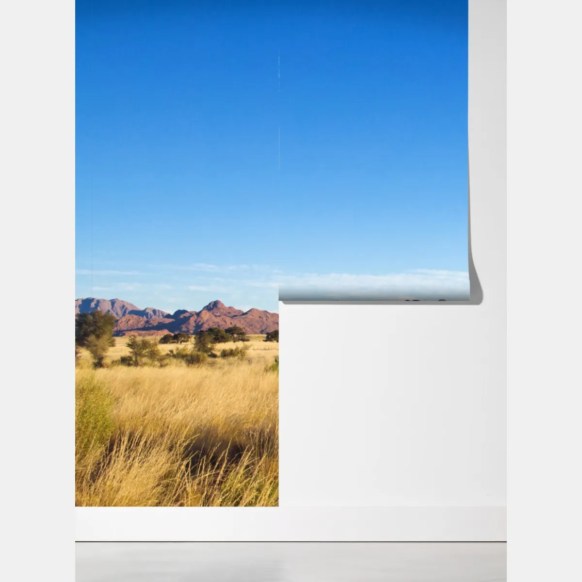 Fototapeta spokojny krajobraz sawanny pod bezchmurnym niebem – Wallissimo® Fototapeta spokojny krajobraz sawanny pod bezchmurnym niebem – Wallissimo®