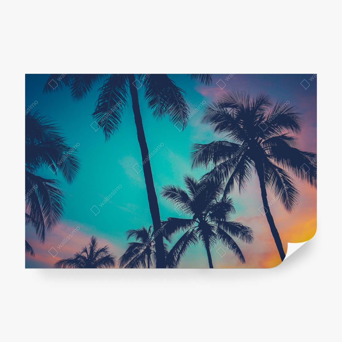 Fototapeta vintage palmy na Hawajach o zachodzie słońca – Wallissimo® Fototapeta vintage palmy na Hawajach o zachodzie słońca – Wallissimo®