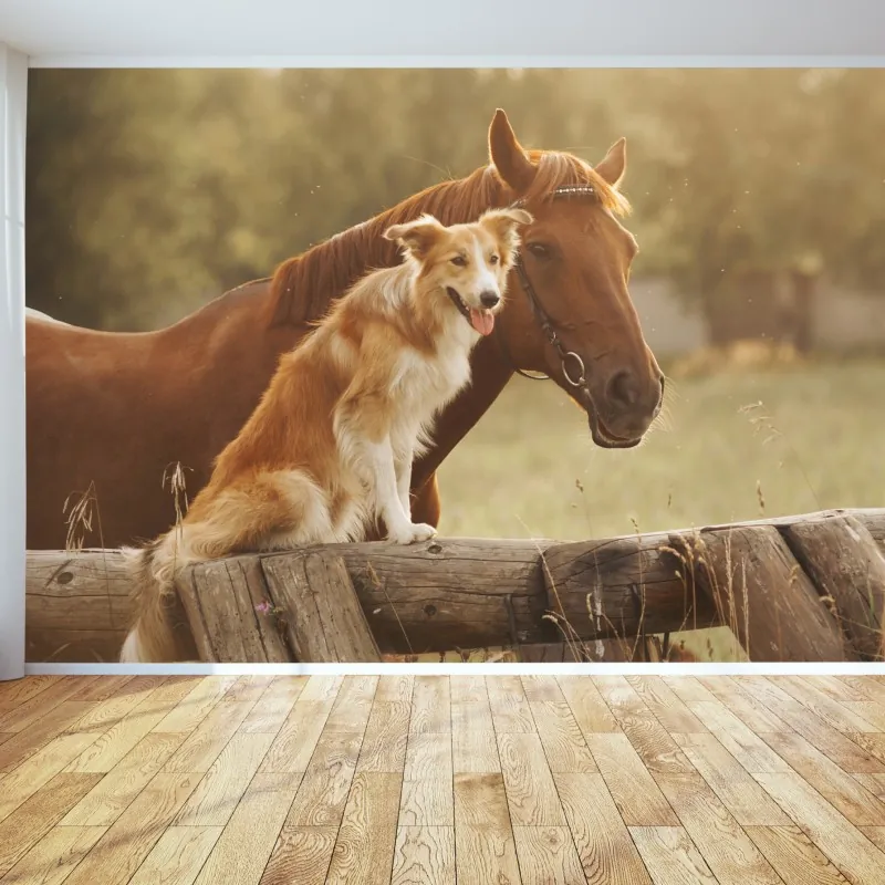 Fototapeta słoneczni towarzysze: pies i koń