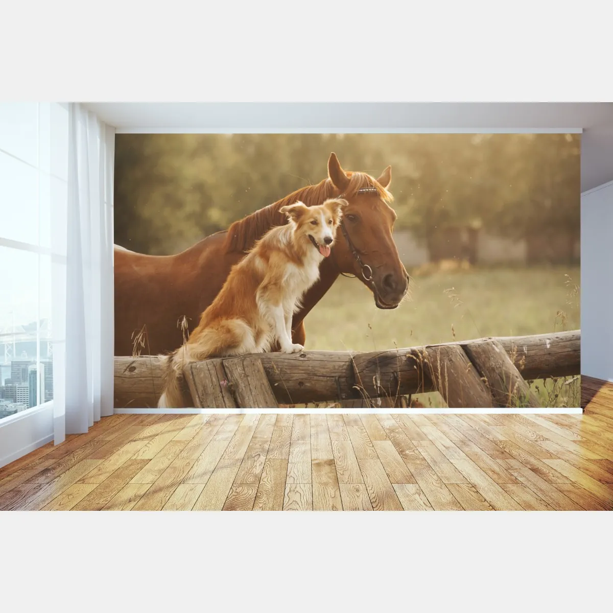 Fototapeta słoneczni towarzysze: pies i koń – Wallissimo® Fototapeta słoneczni towarzysze: pies i koń – Wallissimo®