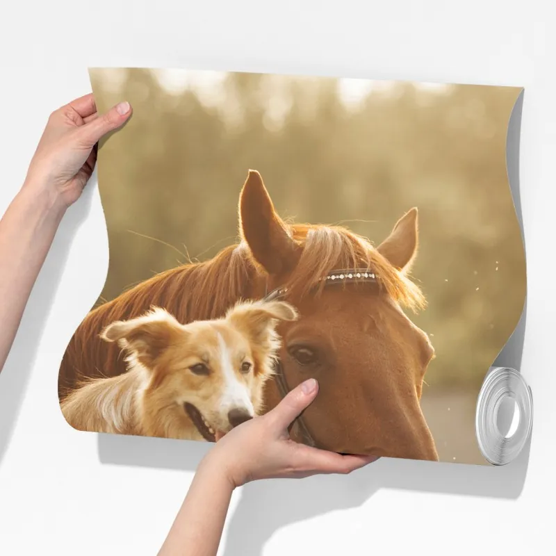 Fototapeta słoneczni towarzysze: pies i koń – Wallissimo® Fototapeta słoneczni towarzysze: pies i koń – Wallissimo®