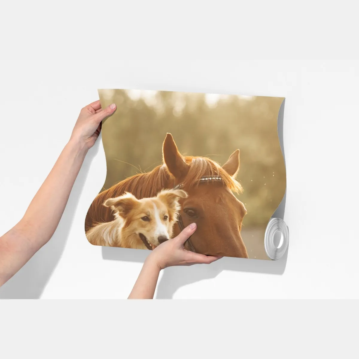 Fototapeta słoneczni towarzysze: pies i koń – Wallissimo® Fototapeta słoneczni towarzysze: pies i koń – Wallissimo®