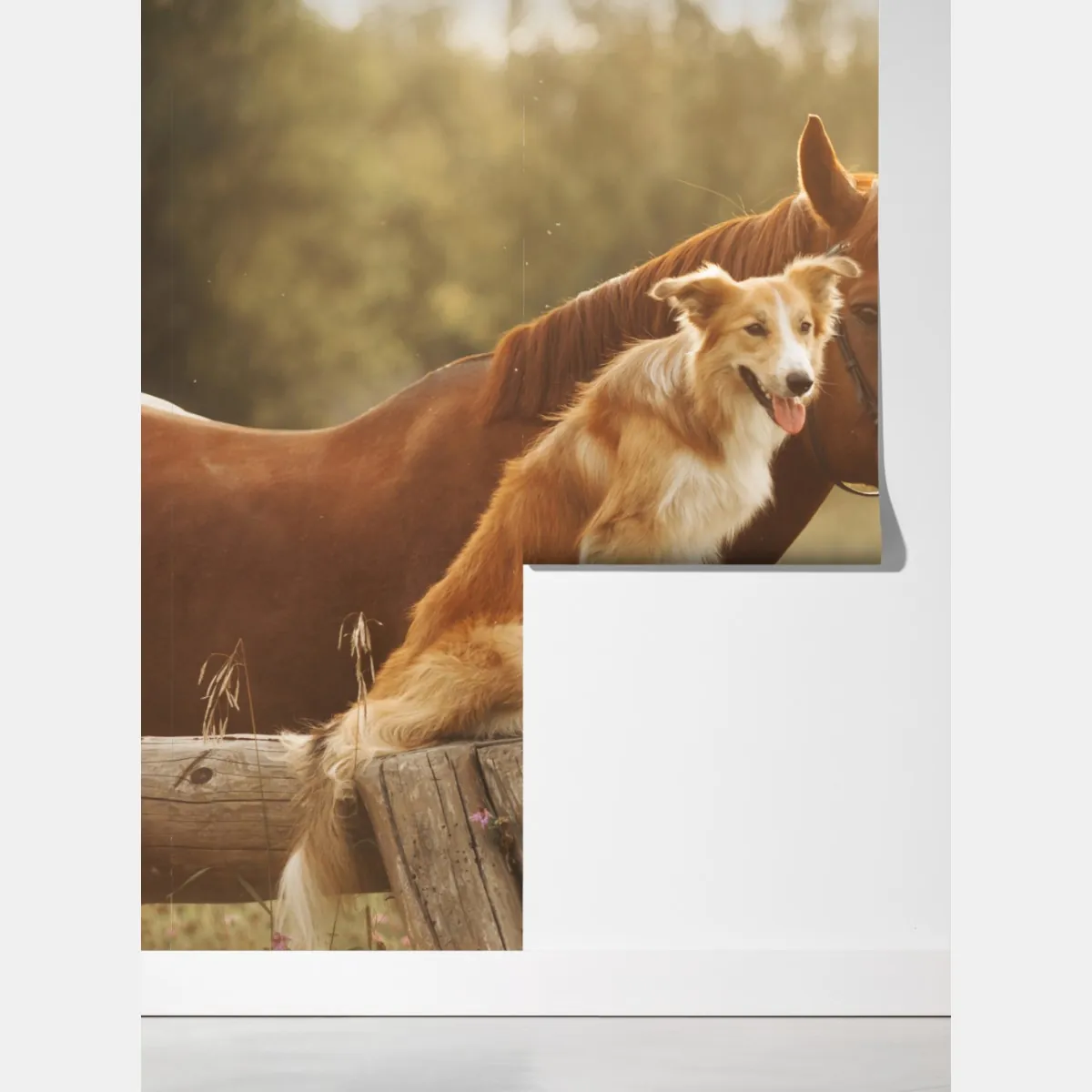 Fototapeta słoneczni towarzysze: pies i koń – Wallissimo® Fototapeta słoneczni towarzysze: pies i koń – Wallissimo®