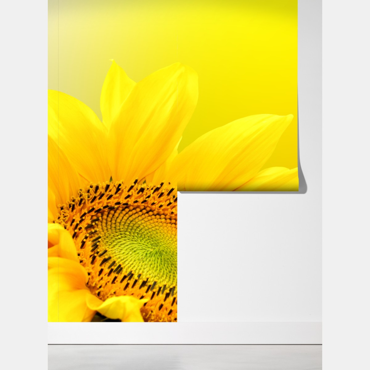 Fototapeta żywy słonecznik z bliska na żółtym tle – Wallissimo® Fototapeta żywy słonecznik z bliska na żółtym tle – Wallissimo®