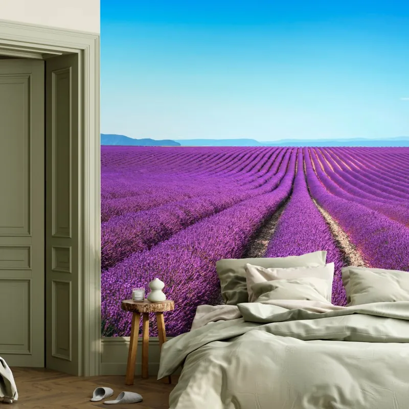 Fototapeta pola lawendy pod błękitnym niebem