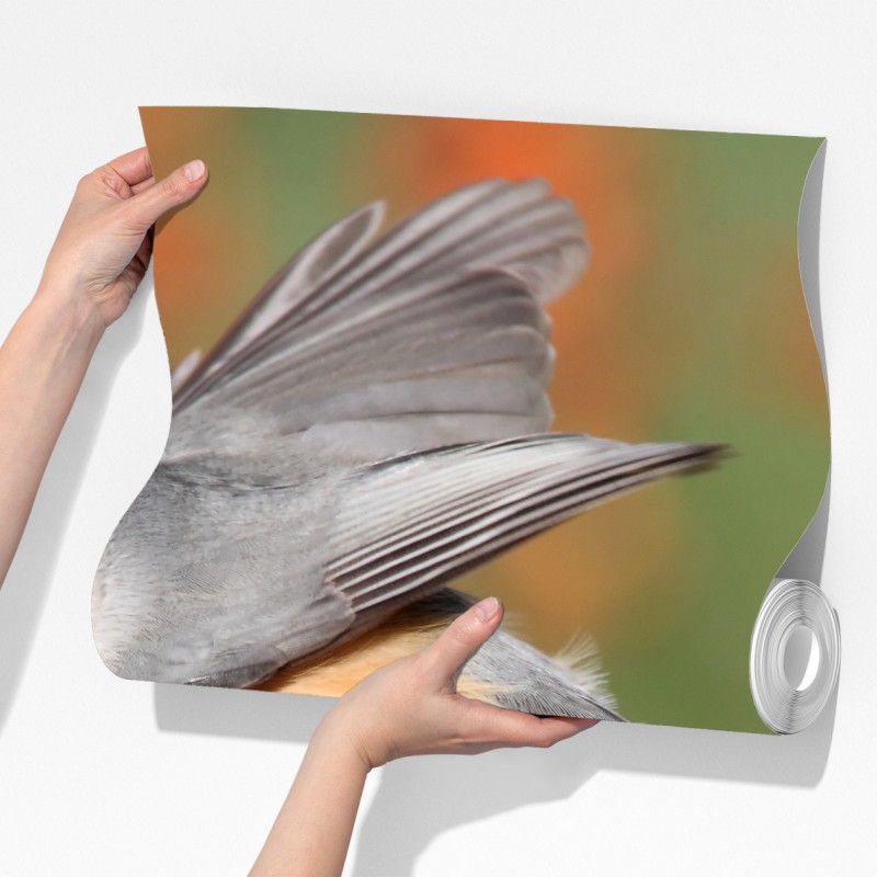 Fototapeta szary ptak na czerwonych jagodach – Wallissimo® Fototapeta szary ptak na czerwonych jagodach – Wallissimo®