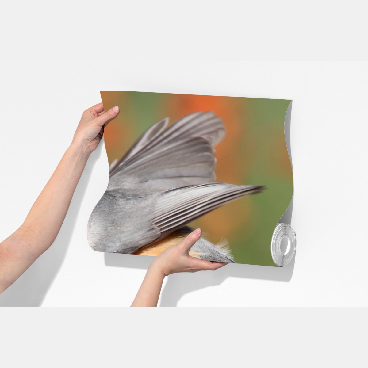 Fototapeta szary ptak na czerwonych jagodach – Wallissimo® Fototapeta szary ptak na czerwonych jagodach – Wallissimo®