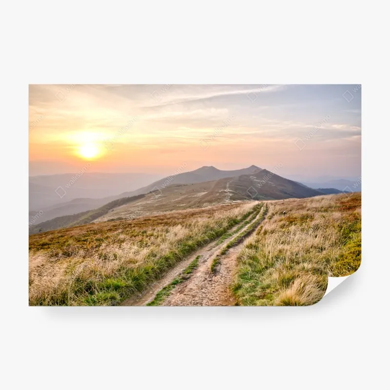 Fototapeta żywe tropikalne ptaki w dżungli – Wallissimo®