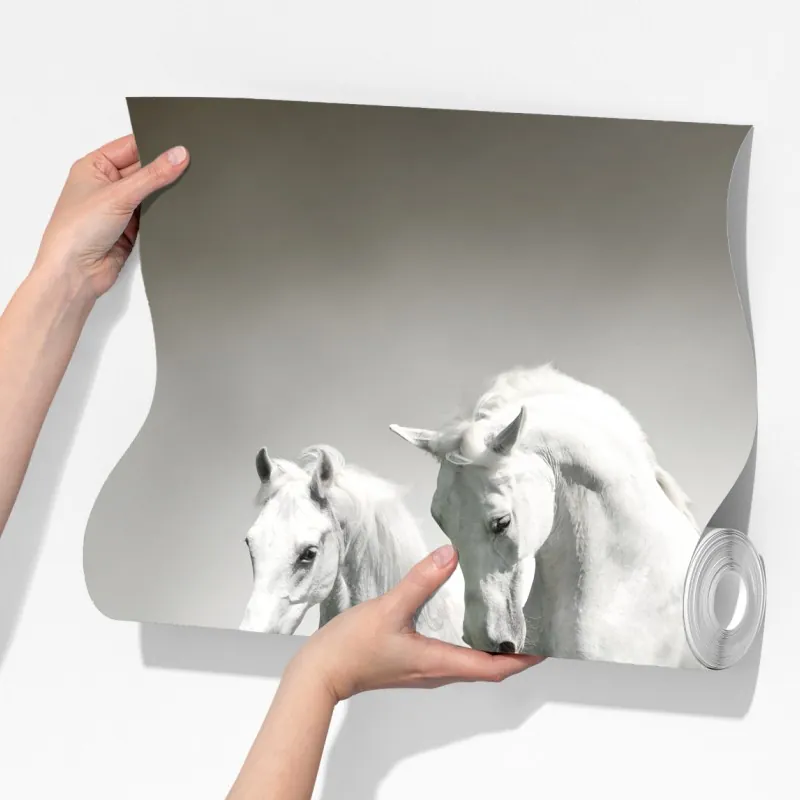 Fototapeta trzy białe konie galopujące przez wodę – Wallissimo® Fototapeta trzy białe konie galopujące przez wodę – Wallissimo®