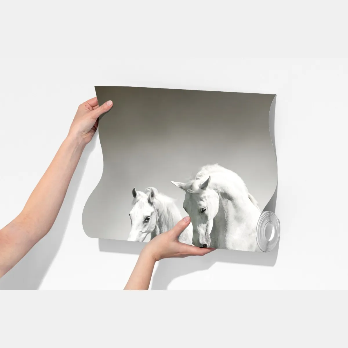 Fototapeta trzy białe konie galopujące przez wodę – Wallissimo® Fototapeta trzy białe konie galopujące przez wodę – Wallissimo®