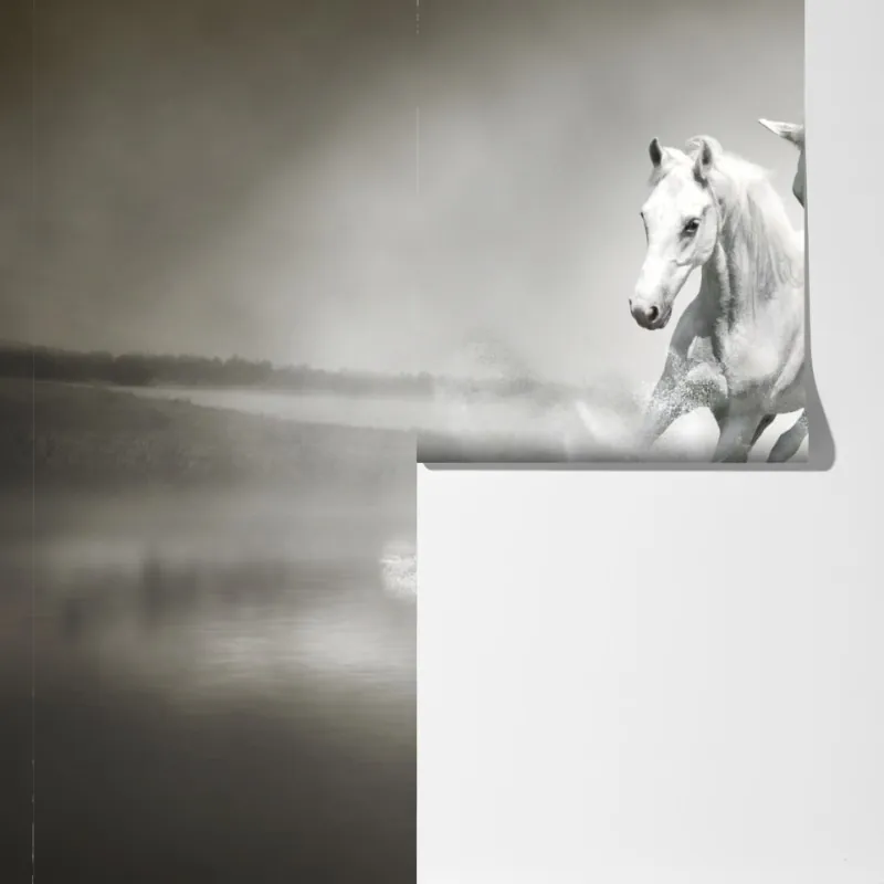 Fototapeta trzy białe konie galopujące przez wodę – Wallissimo® Fototapeta trzy białe konie galopujące przez wodę – Wallissimo®