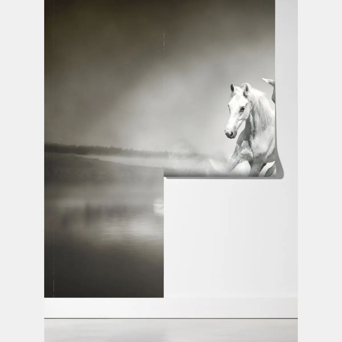 Fototapeta trzy białe konie galopujące przez wodę – Wallissimo® Fototapeta trzy białe konie galopujące przez wodę – Wallissimo®